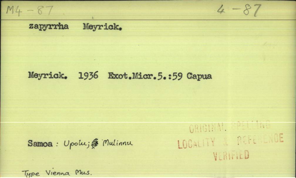 front of card